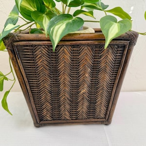 May include: A square-shaped dark brown woven wicker planter with a distinct herringbone pattern. The planter features a flared top edge and a sturdy frame, containing a trailing green and cream variegated houseplant with heart-shaped leaves.