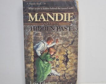 Mandie en het verborgen verleden door Lois Gladys Leppard, Vintage kinderboek, Christian Series Books, Snowball the Cat, Mystery Books, Boek 38