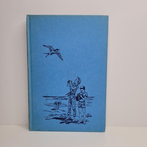 Secret of Crossbone Hill by Wilson Gage, Illustrated by Mary Stevens, Vintage Childrens Book, Gift for Kids, Gift for Birders, Nostalgic