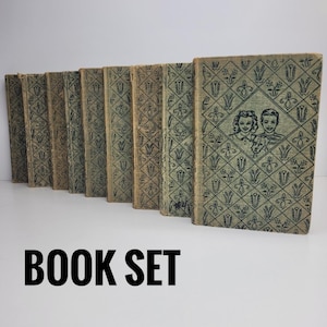 Vintage Bobbsey Twins Bücher Set von Laura Lee Hope: Kinder-Mystik