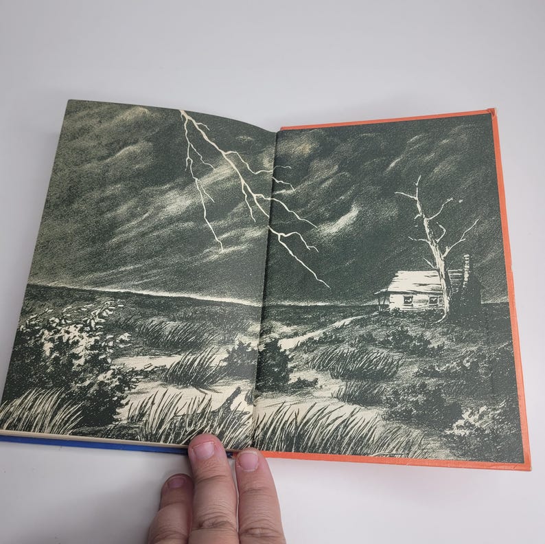 May include: Open book illustration depicting a stormy landscape with a lightning bolt, a small house, and a dead tree. The artwork is in black, white, and gray tones, with blue and orange book edges. The image evokes a sense of foreboding and drama.