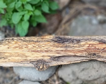 BUGGY DRIFT Wood Shelf  -  almost 3 feet long - unique wood wall art