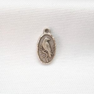 Può includere: Un ciondolo ovale color argento con un design in rilievo dettagliato di un uccello appollaiato su un ramo. Il ciondolo presenta un bordo liscio e rialzato e un piccolo occhiello circolare sulla parte superiore per l'aggancio, con finitura metallica.
