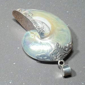 Puede incluir: Colgante de concha de nautilus con colores iridiscentes y engaste de metal plateado. El colgante tiene un lazo para una cadena y adornos de volutas. La concha mide aproximadamente 7,6 cm de largo.