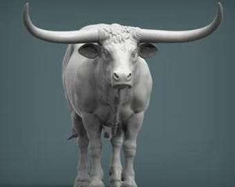1:6 scale Texas Longhorn standing.