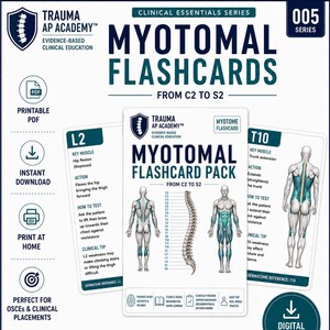 May include: A set of Myotomal Flashcards from Trauma AP Academy, series 005, covering C2 to S2. The cards feature anatomical diagrams of the human body, spine illustrations, and clinical testing instructions for muscle groups like L2 and T10.