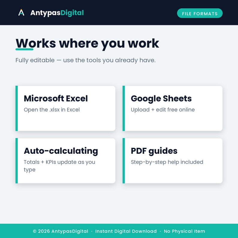 Formats — Excel and Google Sheets, auto KPIs, editable