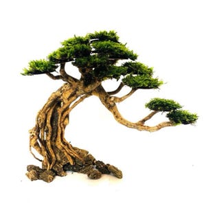Puede incluir: Una escultura decorativa de árbol bonsái que presenta un tronco de madera de color marrón claro nudoso con raíces expuestas ancladas a una base de piedras de color gris oscuro. Las ramas se extienden, cubiertas con grupos de follaje de musgo verde vibrante.