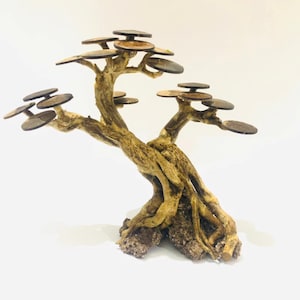 Puede incluir: Un soporte decorativo con forma de árbol que presenta un tronco nudoso de color marrón claro y un sistema de raíces anclado a una base oscura y porosa. Las ramas se extienden hacia afuera, sosteniendo varias plataformas circulares pequeñas.
