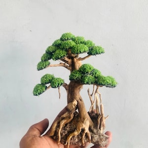 Peut inclure: Une sculpture d'arbre bonsaï décorative avec un tronc en bois brun texturé aux racines apparentes et un feuillage en mousse vert vif disposé en grappes arrondies et superposées sur les branches, imitant un arbre miniature.