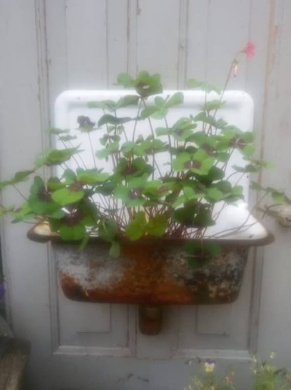 Wash Basin Shabby Chic Etsy