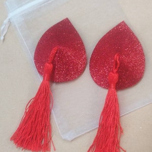 Pasties / Nippies Burlesque Glitter &quot;Noël&quot;