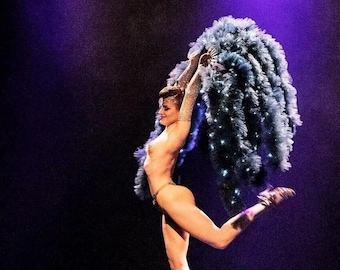 Luminous Waterfall fan Vegan Tulle Boa : Éventail cascade Burlesque LED