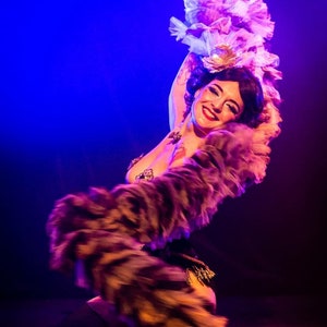 Super Fluffy Multicolor Vegan Faux Feather Tulle Boa Burlesque Showgirl Drag Queen made in France