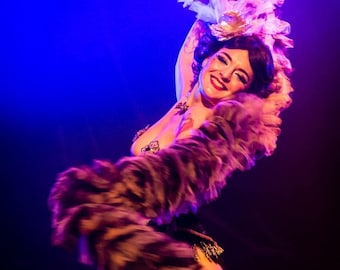 Vegan Faux Feather Tulle Boa: Multicolor Burlesque Showgirl Drag Queen