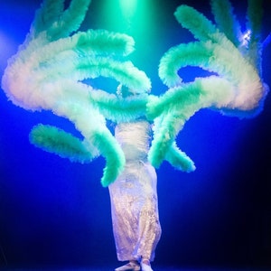 May include: A performer wearing a white dress and large, feathery, green and white wings, performing on a stage with blue lighting.