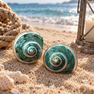 May include: Two spiral seashells with a glossy, iridescent teal and dark green finish. The shells feature a smooth, rounded shape with a distinct coiled pattern that transitions from a dark center to a lighter, translucent outer edge.