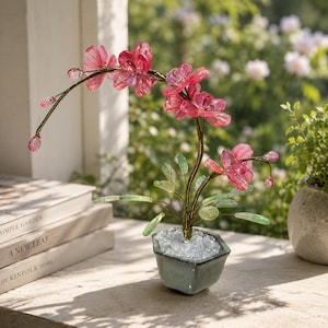 Puede incluir: Una planta de orquídea artificial decorativa con pétalos de flores de color rosa translúcido y hojas de color verde claro unidas a tallos de alambre oscuro. La planta está en un pequeño recipiente hexagonal de cerámica verde salvia lleno de guijarros de vidrio.