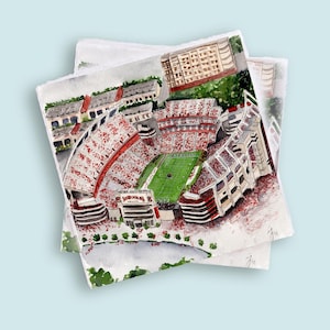 USC, Gamecock, South Carolina Tailgate Napkins