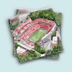 Georgia, Bulldogs, Football, Tailgate Napkins