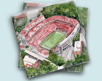 Georgia, Bulldogs, Football, Tailgate Napkins