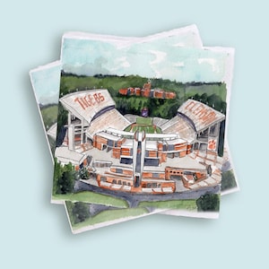 Death Valley, Clemson, Tailgate Napkins