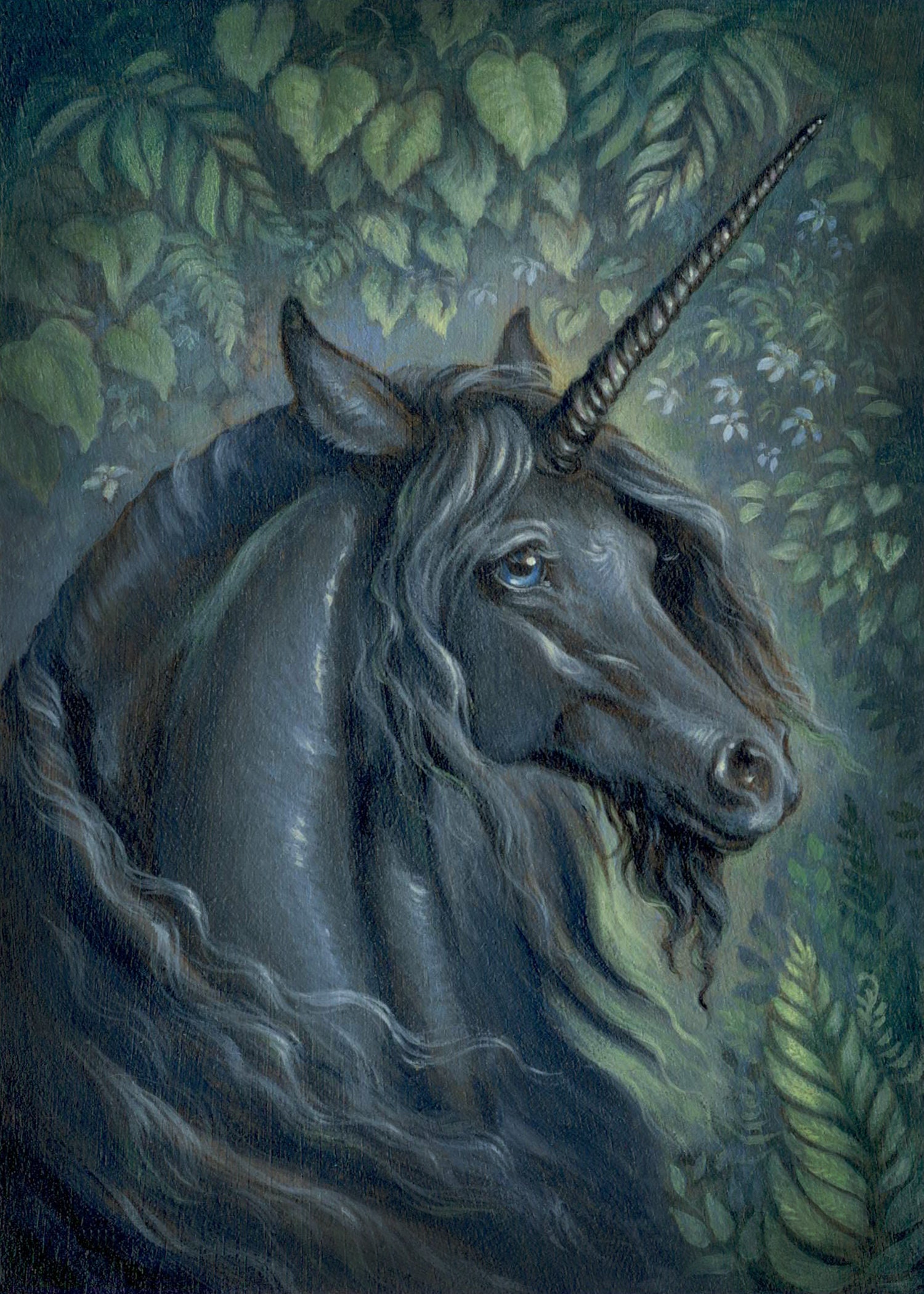 5x7 Black Unicorn Portrait Print Fantasy Art Print Fairy | Etsy