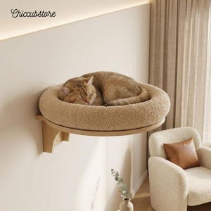 Op de afbeelding: Een aan de muur gemonteerde kattenplank met een ronde houten basis en een dik, beige, getextureerd fleece kussen. Een lichtbruine cyperse kat ligt opgerold te slapen in het ronde, verhoogde bed dat aan een lichte muur is bevestigd.