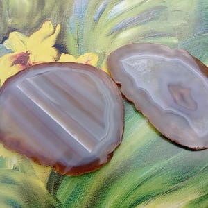 Puede incluir: Dos rodajas de ágata pulida con bandas translúcidas en capas en tonos gris, blanco y marrón. Las piedras tienen formas orgánicas irregulares con bordes suaves y redondeados, mostrando formaciones minerales naturales y patrones concéntricos.