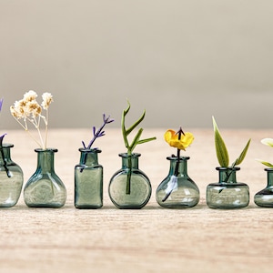 Può includere: Un set di sette piccoli vasi soliflora in vetro traslucido blu-verde disposti in fila. Ogni vaso presenta una forma unica, tra cui sagome rotonde, quadrate e affusolate, e contiene un singolo stelo di fiori o vegetazione essiccata.
