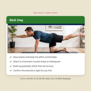 Low Back Pain Relief Guide | 42 Page eBook, 14 Exercises, Fillable Trackers | Sciatica & Post Op Care | PDF + EPUB Instant Download image 9