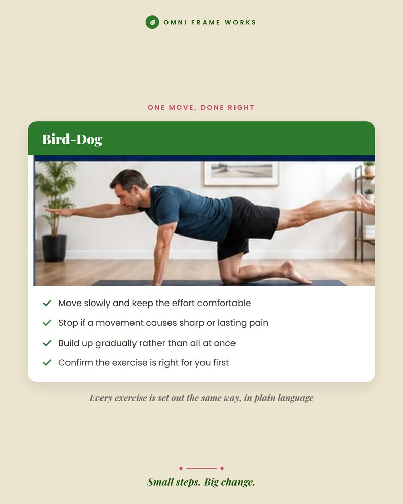 Low Back Pain Relief Guide | 42 Page eBook, 14 Exercises, Fillable Trackers | Sciatica & Post Op Care | PDF + EPUB Instant Download image 9
