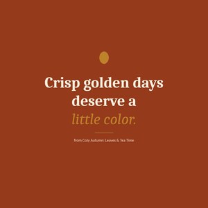 K&ouml;nnte beinhalten: Ein rechteckiger Grafikdruck mit einem einfarbigen, gebrannten orangefarbenen Hintergrund und dem Text OMNI FRAME WORKS oben und unten. In der Mitte steht der Text Crisp golden days deserve a little color. unter einem kleinen goldenen Oval.