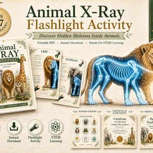 Op de afbeelding: Een Animal X-Ray Flashlight activiteitenpakket met een werkboek, printbare pagina's, beloningsstickers, een certificaat van voltooiing en een gids voor ouders en docenten. De materialen tonen illustraties van dieren met lichtgevende blauwe skeletten.