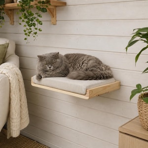 May include: A rectangular light-colored wooden cat shelf mounted to a wall, featuring a soft, light beige rectangular cushion on top. A fluffy grey cat is lying down on the cushion, resting its body across the length of the wooden platform.