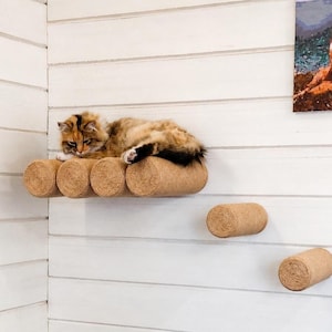 May include: A long-haired calico cat resting on a wall-mounted cat shelf composed of four parallel, cylindrical, tan sisal-wrapped logs, with two additional individual cylindrical sisal-wrapped logs mounted lower on the wall as steps.