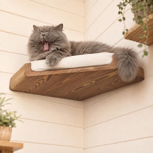Op de afbeelding: Een aan de muur gemonteerde hoekplank voor katten van donker gebeitst hout met een zichtbare houtnerf. De plank is voorzien van een zacht, rechthoekig wit kussen aan de bovenzijde, wat een comfortabele rustplaats biedt voor een gapende grijze kat.