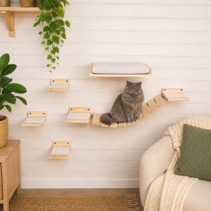Kattenmeubelset voor aan de muur, wandgemonteerd kattenbed met 3 treden en brug, klimplanken van natuurlijk hout
