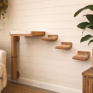 Wall Mounted Cat Furniture Set, Cat Wall Steps, Cat Bed Shelf and Scratching Post, Modern Cat Climbing Wall