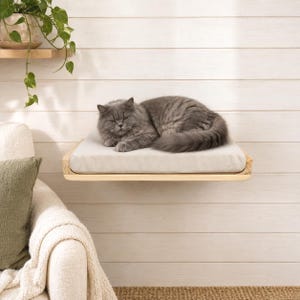 May include: A wall-mounted rectangular wooden cat shelf featuring a light-colored, plush rectangular cushion. A fluffy grey cat is lying down on the cushion, which is securely attached to the wooden platform. The shelf has a natural wood grain finish.