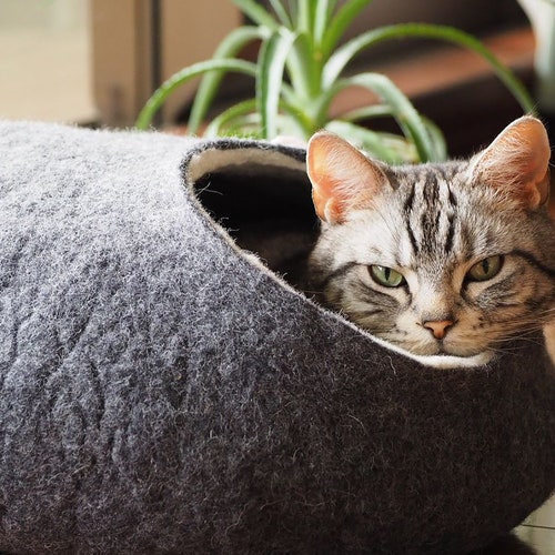 natural cat bed