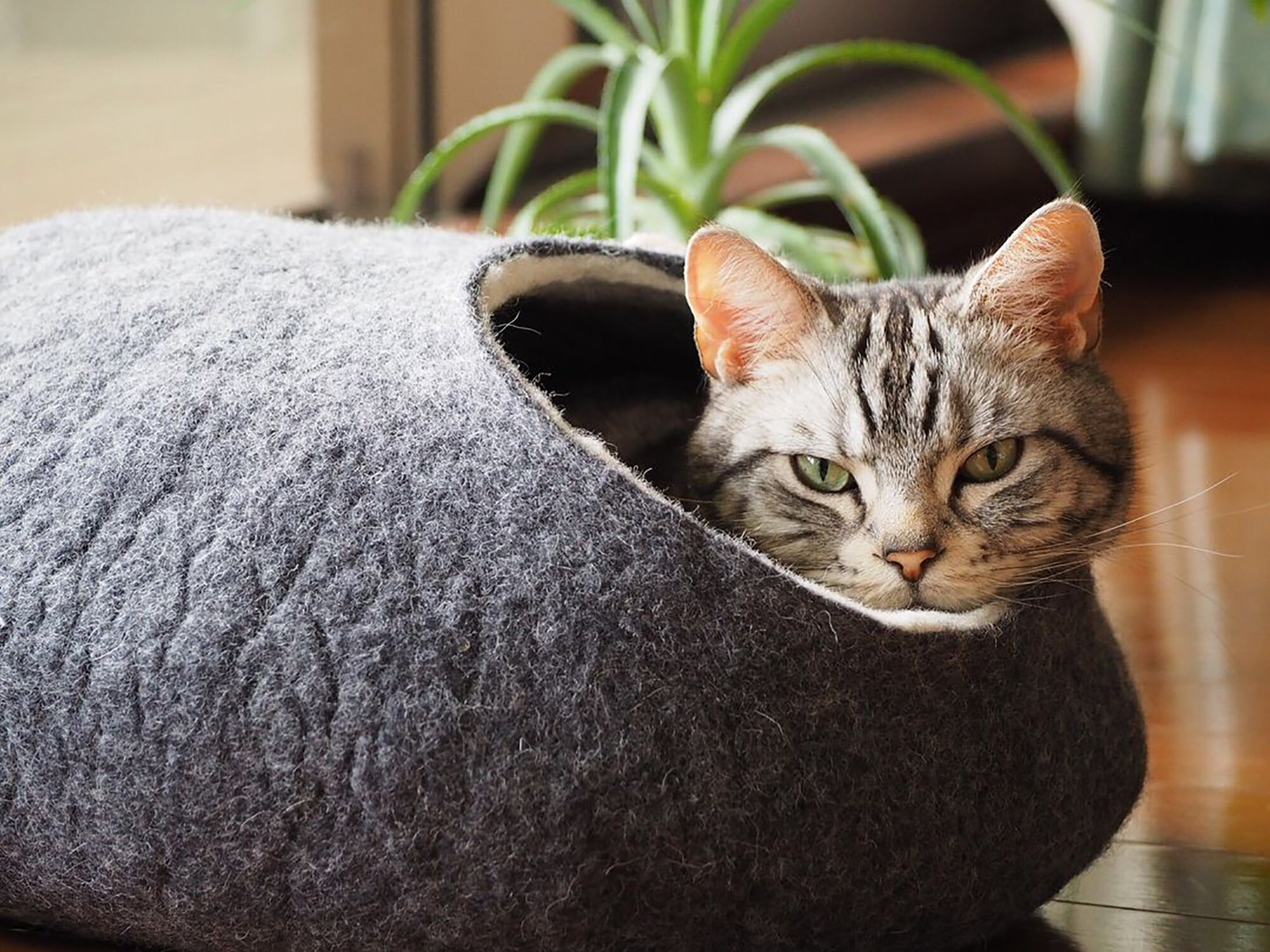 etsy cat bed