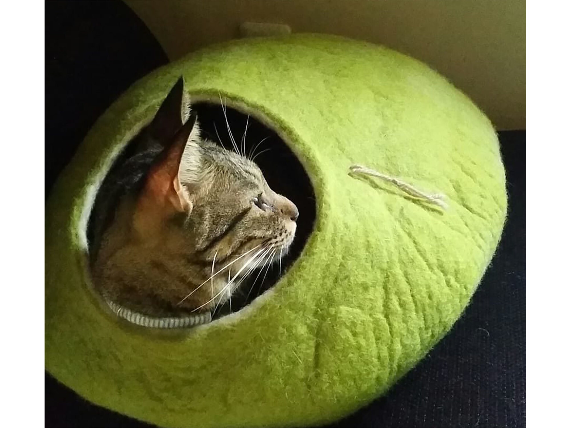 Cat bed, cat house, cat cave. Size L. Natural felted sheep wool. Colo…