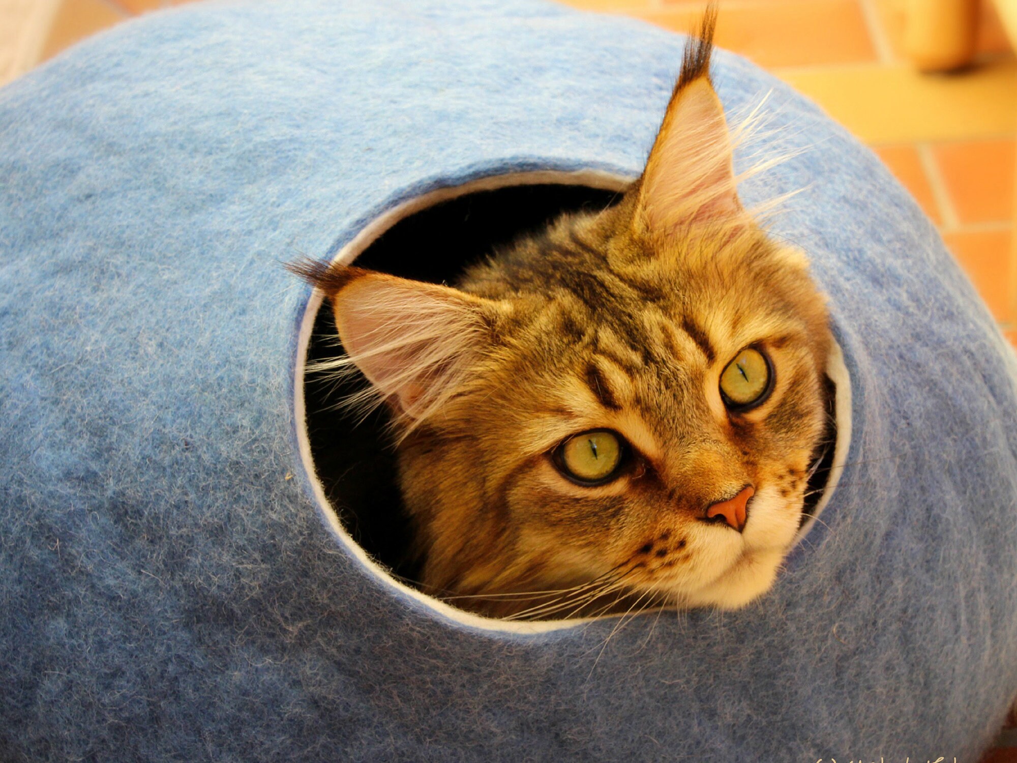 Cat bed, cat house, cat cave. Size L. From natural felted wool. Color…