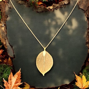 May include: A gold necklace with a delicate chain and a leaf-shaped pendant. The pendant is made of a real leaf that has been preserved and coated in gold. The necklace is photographed on a background of autumn leaves.