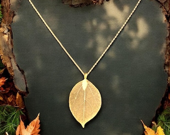 Könnte beinhalten: Eine goldene Halskette mit einer zarten Kette und einem blattförmigen Anhänger. Der Anhänger besteht aus einem echten Blatt, das konserviert und mit Gold überzogen wurde. Die Halskette ist vor einem Hintergrund aus Herbstblättern fotografiert.