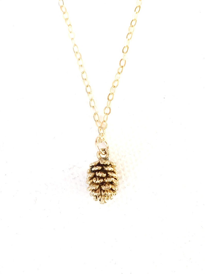May include: A gold chain necklace with a small gold pine cone pendant.
