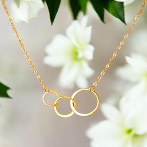 May include: A gold-colored necklace featuring three interconnected circles. The necklace is suspended from a delicate chain. The background includes white flowers and green leaves, creating a soft, natural setting. The jewelry is simple and elegant.