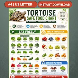 May include: A digital tortoise safe food chart featuring a brown tortoise illustration and categorised lists of leafy greens, vegetables, fruits, and edible flowers. The text includes headings like Eat Freely, Feed in Moderation, and Occasional Treats.