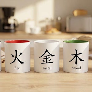 Può includere: Cinque tazze in ceramica bianca disposte in fila, ognuna con un bordo interno e una base di colore unico. Le tazze mostrano caratteri cinesi neri per acqua, fuoco, metallo, legno e terra, con la parola inglese corrispondente stampata sotto.